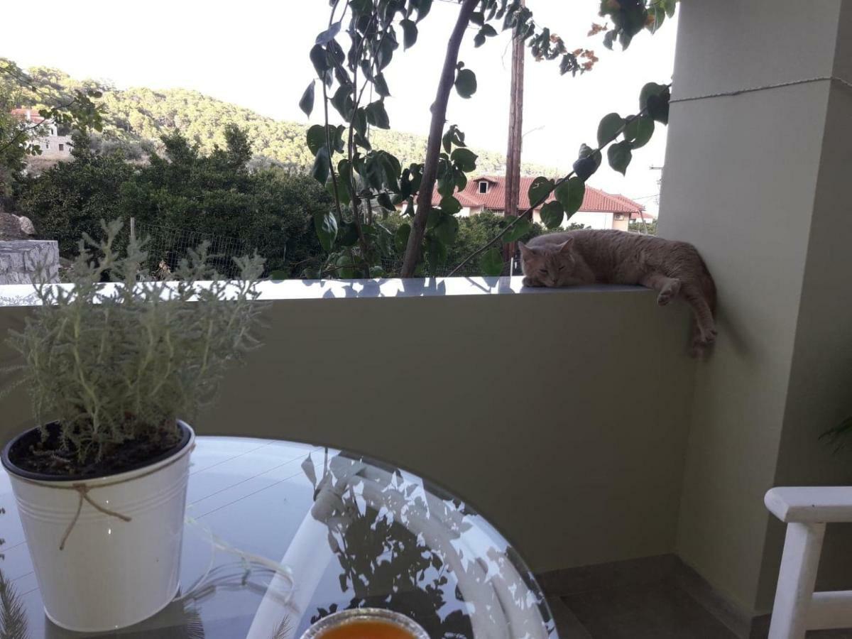 Spiti Portokali Apartment Epidaurus Bagian luar foto